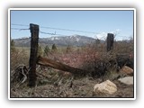 Fence in California