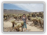 Joshua Tree National Park