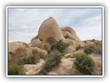 Joshua Tree National Park