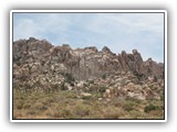 Joshua Tree National Park