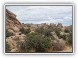 Joshua Tree National Park