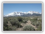 June Lake California