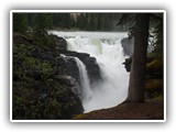 Jasper - Athabasca Falls