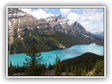 Banff - Peyto Lake