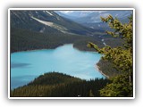 Banff - Peyto Lake