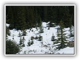 Jasper - Icefield Glaciers