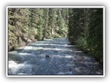 Banff - Johnston Canyon