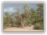 Heron Lake State Park, New Mexico