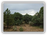 Heron Lake State Park, New Mexico