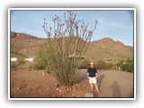 Ellen at Rockhound