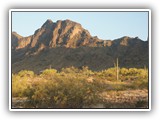 Picacho State Park Arizona