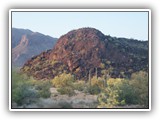 Picacho State Park Arizona