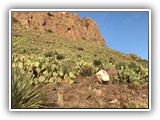 Rockhunting at Rockhound