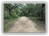 Texas rest area