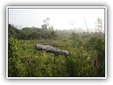 Big Lagoon State Park