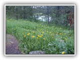 Buffalo Idaho Campground