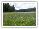 Pioneer Scenic Byway Montana