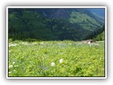 Glacier National Park