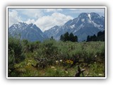 Grand Tetons National Park