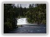 Yellowstone - Lewis Falls