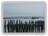 Astoria Ships Anchored in Columbia River