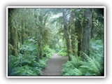 Beverly Beach State Park Trail