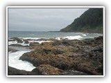 Cape Perpetua