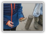 Clamming at Fort Stevens