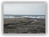 Low Tide at Devils Punch Bowl