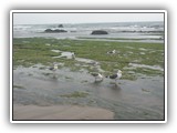 Low Tide at Devils Punch Bowl