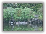 Fort  Stevens Lake