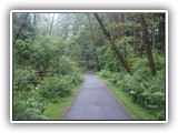 Fort Stevens Trail