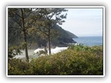 Heceta Head Light House