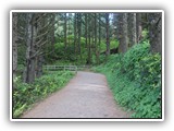 Heceta Head Trail to Lighthouse4