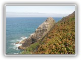 Heceta Head Light House