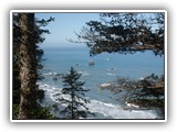 Hwy 101 Viewpoint