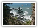 Hwy 101 Viewpoint