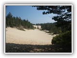 Jessie Honeyman Sand Dunes