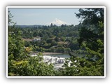 Mount Hood