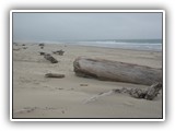 Nehalem Bay State Park