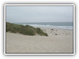 Nehalem Bay State Park