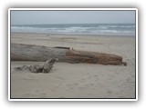 Nehalem Bay State Park