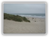 Nehalem Bay State Park