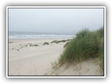 Nehalem Bay State Park