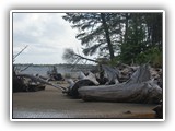 Nehalem Bay