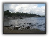 Nehalem Bay