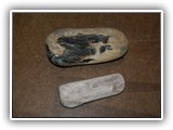 Petrified Wood