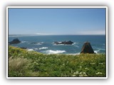 Yaquina Head Lighthouse Natural Area