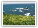 Yaquina Head Lighthouse Natural Area