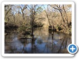 Suwanee River State Park